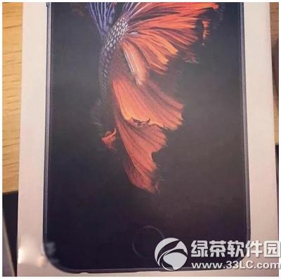 iphone6s^׃ iphone6s^ɶ