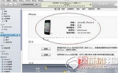 iphone6X iphone6X̳6