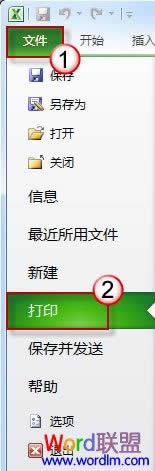 Excel2010ӡ@ʾ