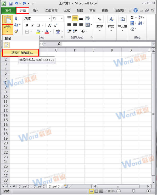 ôWordăԈDƬʽ뵽Excel2010У