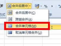 Excel2010ӺϲԪ