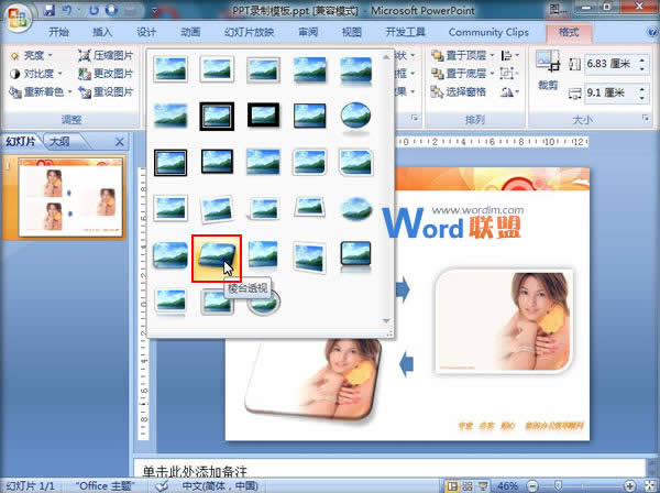 PPT2007ѸّÈDƬʽ