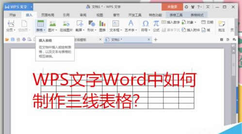 WPSWordô   