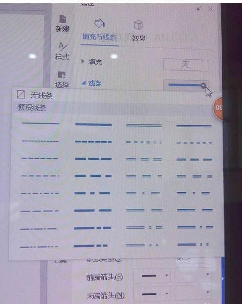 wpsӮ(hu)̓