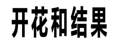 WPSʾ̳̣(du)Чnеđ(yng)