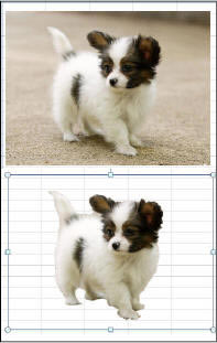 Excel2010新界面功能簡介_本站