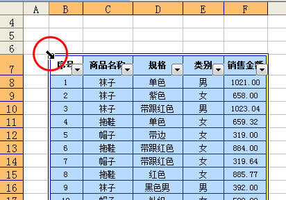xExcel2003б