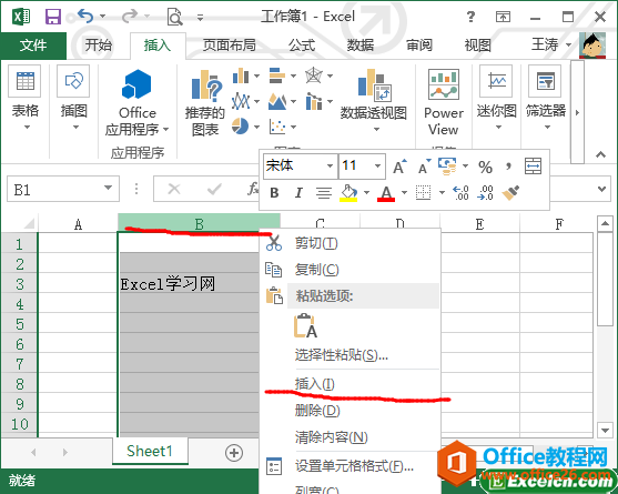 excel 2013вchԪ