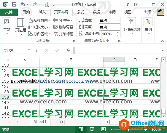 excelO(sh)ñķ