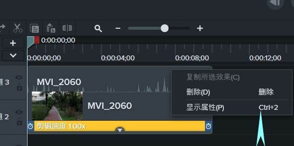 Camtasia Studio 2019 İļ݋ٶԔf
