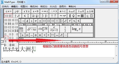 MathType̖