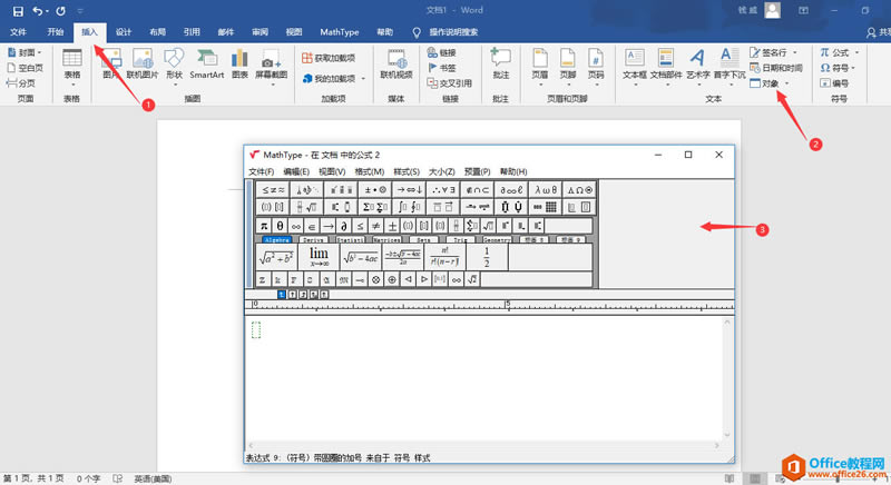 ʹMathType̎ʽ