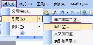 MathTypeʽEquation[