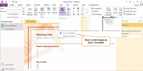 ݋ OneNote (zhn)ģ