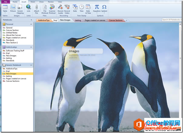 onenote2010Pӛ뱳A̳4