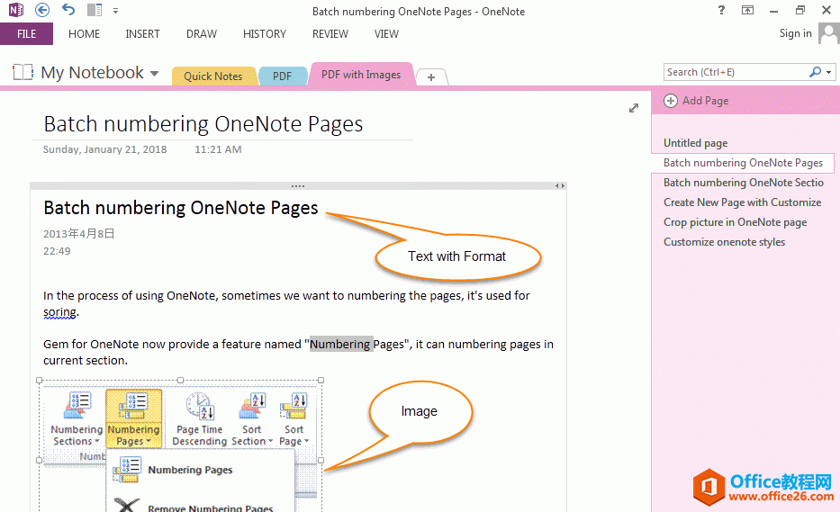 PDF  OneNote Ըʽı͈DƬ@ʾ