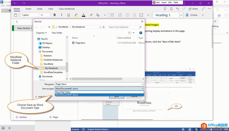 x Word Document 