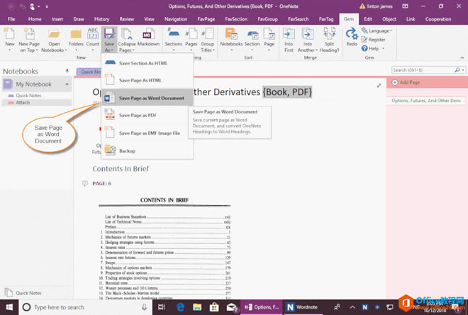 OneNote: Gem for OneNote ı Word ęn 