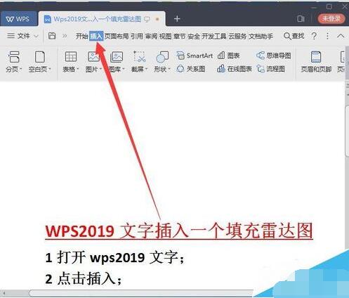 wps̳̼ɴȫ wps2019ô_(d)D_վ