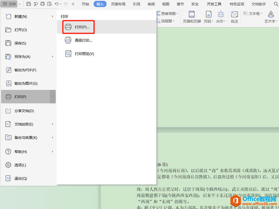 WPS Wordη퓻퓴ӡ