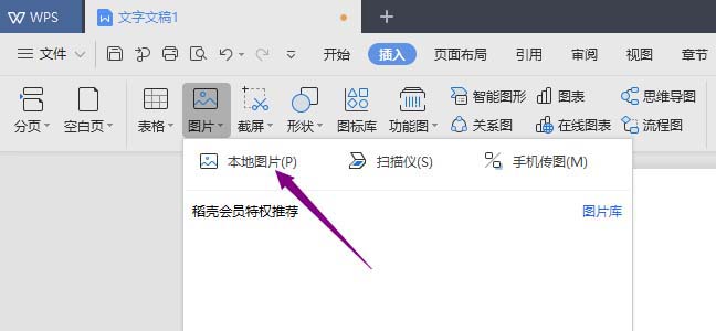 WPS2019DƬôMдֱD_վ