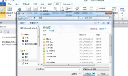 office2010 _wps