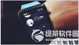 apple watch΢ôlZ apple watch΢ŰlZ̳