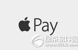appapple pay֧ ֙Capp\apple pay֧k
