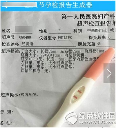 愚人節孕檢報告生成器怎么用 愚人節孕檢檢驗報告單生成器玩法