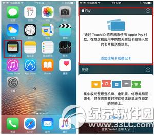 apple payôyп Oapple payyп̳3