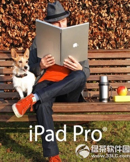 ipad proߴOipad proߴС