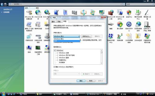 ׌PC30% Vistaϵy